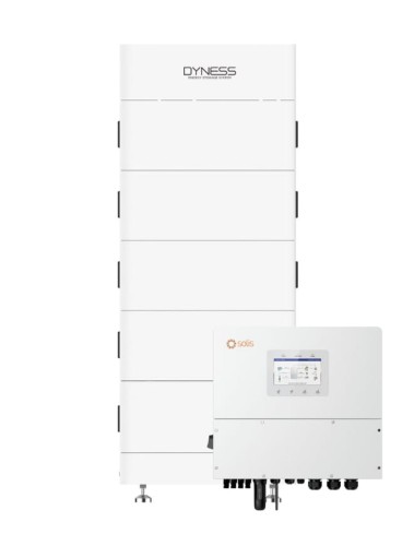 Zestaw Magazyn Energii Dyness Tower T17 + S6-EH3P12K-H-EU zestaw