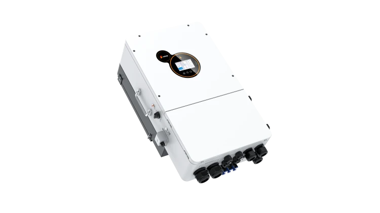 Hesp14-20 (9).png